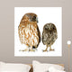 Female Owl and a Owlet Wall Decal