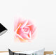 soft pink rose Wall Mural