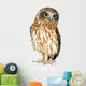 New Zealand Owl Wall Decal