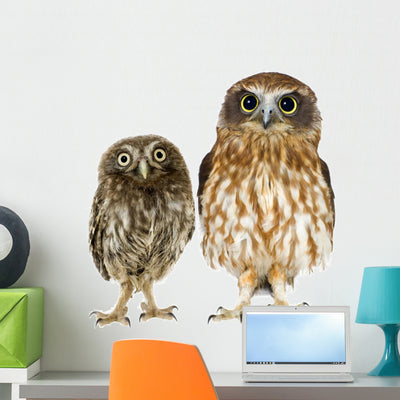 Owl and Owlet Wall Decal shown on a wall