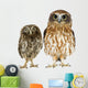 Owl and a Owlet Wall Decal