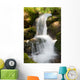 Mountain Stream