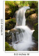 Mountain Stream