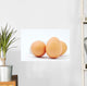 Simple Material for Cooking Wall Decal