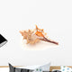 Seashell on white Wall Decal