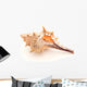 Seashell on white Wall Decal