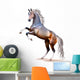 Vector Photo-Realistic Bay Horse Rearing up Isolated Wall Decal