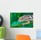 wild chameleon, madagascar Wall Mural