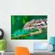 wild chameleon, madagascar Wall Mural