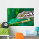wild chameleon, madagascar Wall Mural