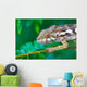 wild chameleon, madagascar Wall Mural