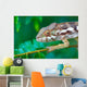 wild chameleon, madagascar Wall Mural