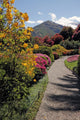 Fantastic Landscape with Azaleas