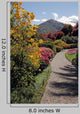Fantastic Landscape with Azaleas