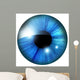 Human Iris
