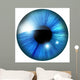 Human Iris