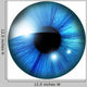 Human Iris