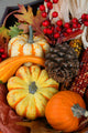 Thanksgiving Fall Harvest Wall Mural