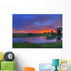 Everglades sunset Wall Mural