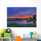 Everglades sunset Wall Mural