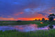 Everglades sunset Wall Mural