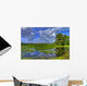 everglades landscape Wall Mural