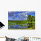 everglades landscape Wall Mural