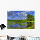 everglades landscape Wall Mural