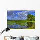 everglades landscape Wall Mural