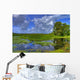 everglades landscape Wall Mural