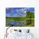 everglades landscape Wall Mural