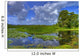 everglades landscape Wall Mural