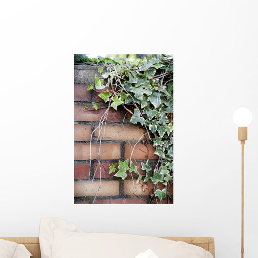 Ivy Wall Mural