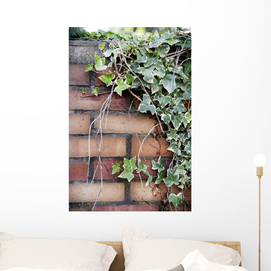 Ivy Wall Mural