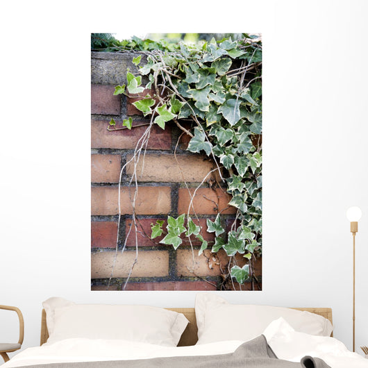 Ivy Wall Mural
