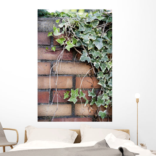 Ivy Wall Mural