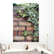 Ivy Wall Mural