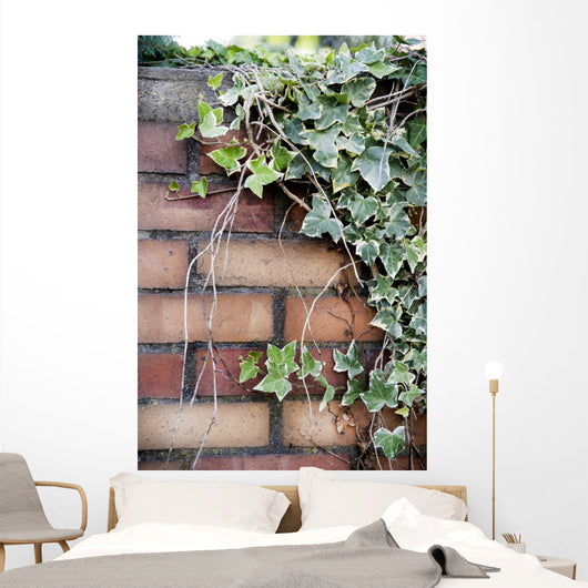 Ivy Wall Mural
