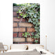 Ivy Wall Mural