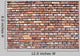 Brick Wall Wall Mural