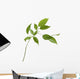 Small Tree Isolated With Green Leaves Wall Decal