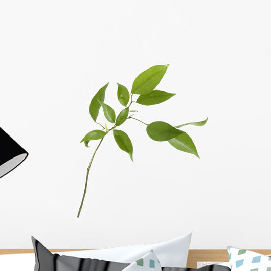 Small Tree Isolated With Green Leaves Wall Decal