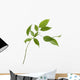 Small Tree Isolated With Green Leaves Wall Decal