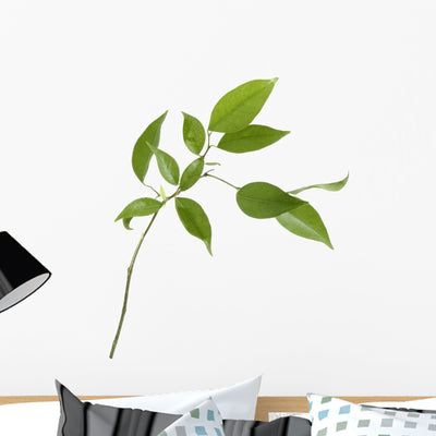 Small Tree with Green Wall Decal shown on a wall