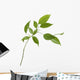 Small Tree Isolated With Green Leaves Wall Decal