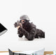 Nato Boy Wall Decal