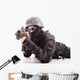Nato Boy Wall Decal
