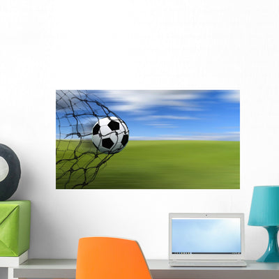 Soccer Ball Net shown on a wall