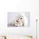 Two Funny Puppies Samoyed Wall Mural