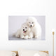 Two Funny Puppies Samoyed Wall Mural